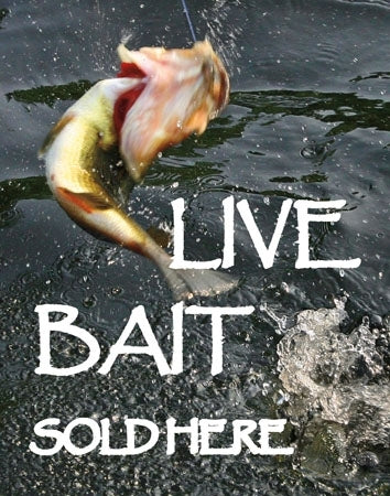 Live Bait Sold Here- 22"w x 28"h 4mm Coroplast Insert